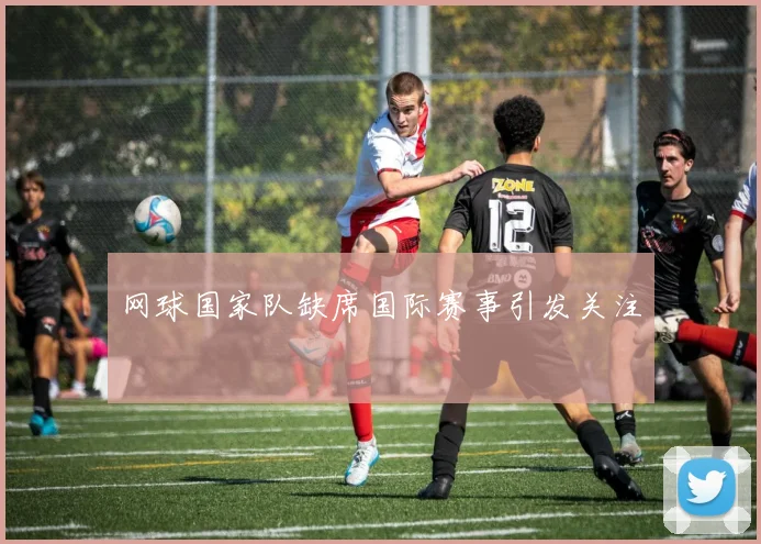 网球国家队缺席国际赛事引发关注