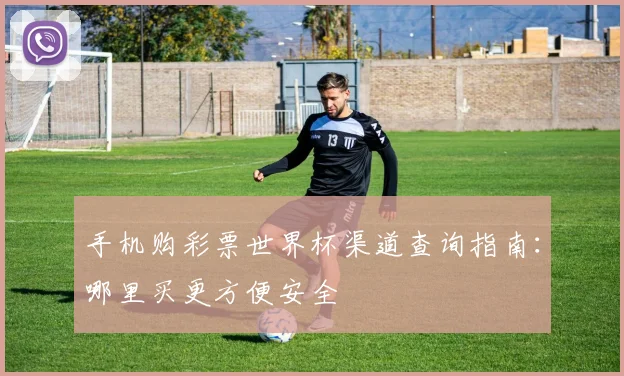 手机购彩票世界杯渠道查询指南：哪里买更方便安全