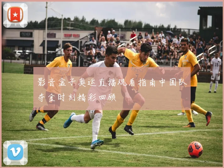 影音盒子奥运直播观看指南中国队夺金时刻精彩回顾