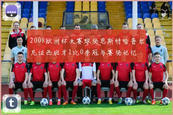 2008欧洲杯决赛球场恩斯特哈普尔见证西班牙1比0夺冠与赛场记忆