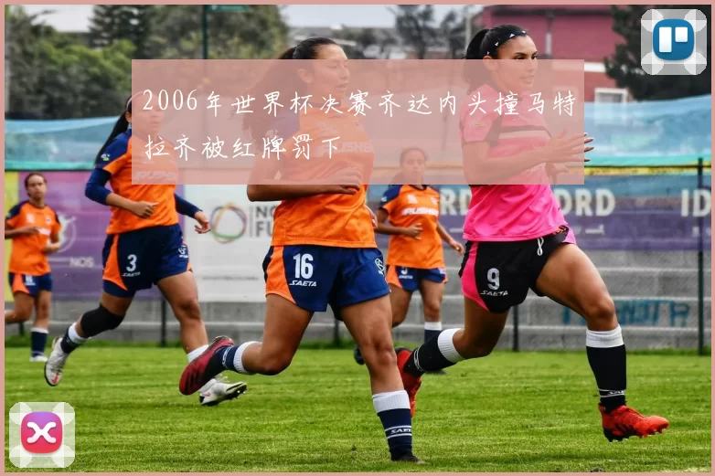 2006年世界杯决赛齐达内头撞马特拉齐被红牌罚下