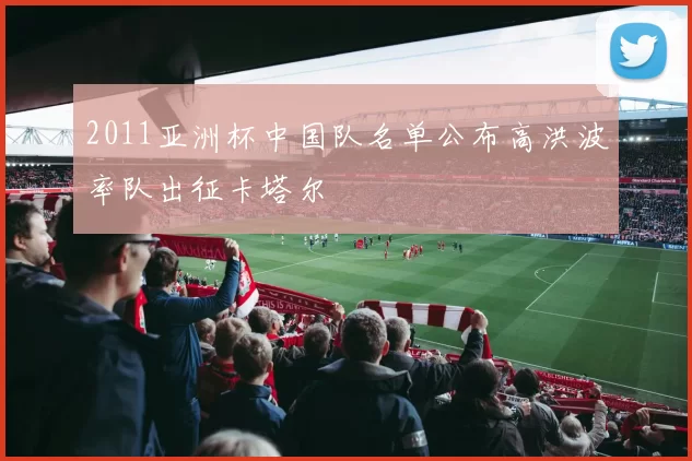 2011亚洲杯中国队名单公布高洪波率队出征卡塔尔