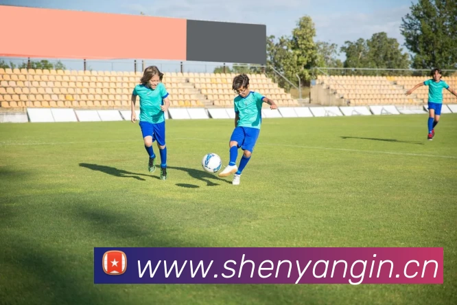 世界杯注册官网服务体系