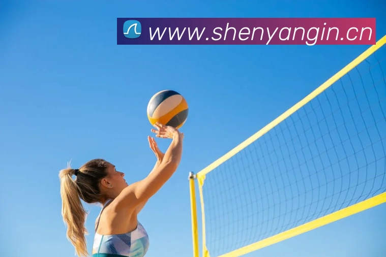 多媒体互动体验